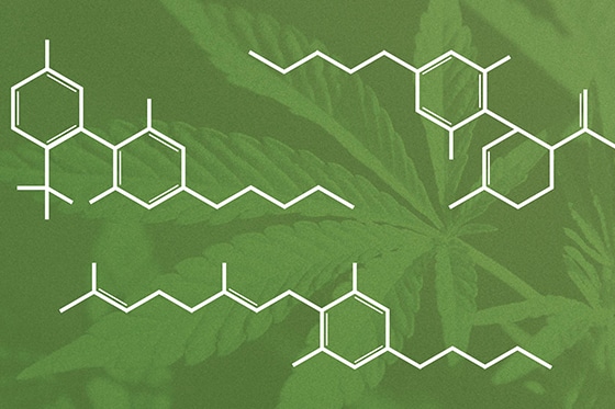 The 12 Most Common Cannabinoids Found in Cannabis Sativa/Hemp: